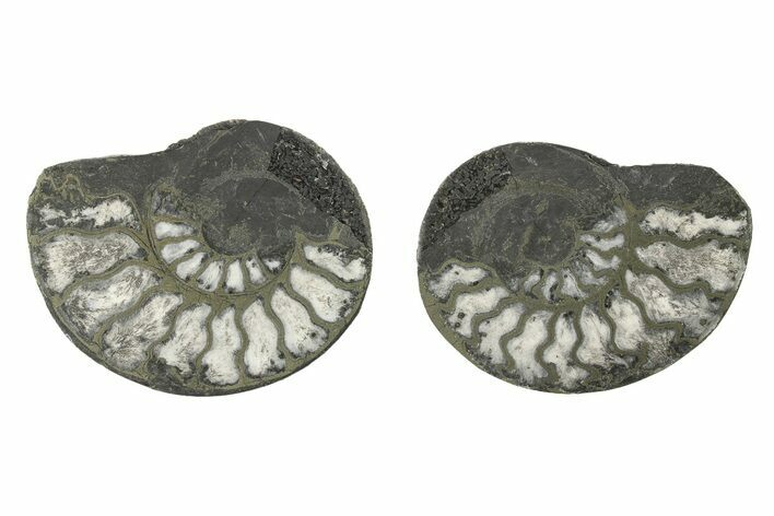 Pyritized Cut Ammonite Fossil Pair - Morocco #276652